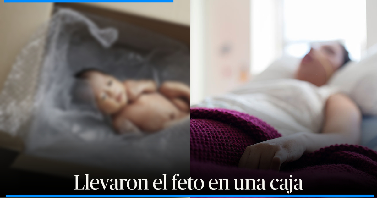 Niña De 14 Años Dio A Luz En El Baño De Su Casa Y Tiró Al Bebé Por La Ventana Entró En Shock 